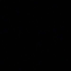 Meet your Posher, Kendyll